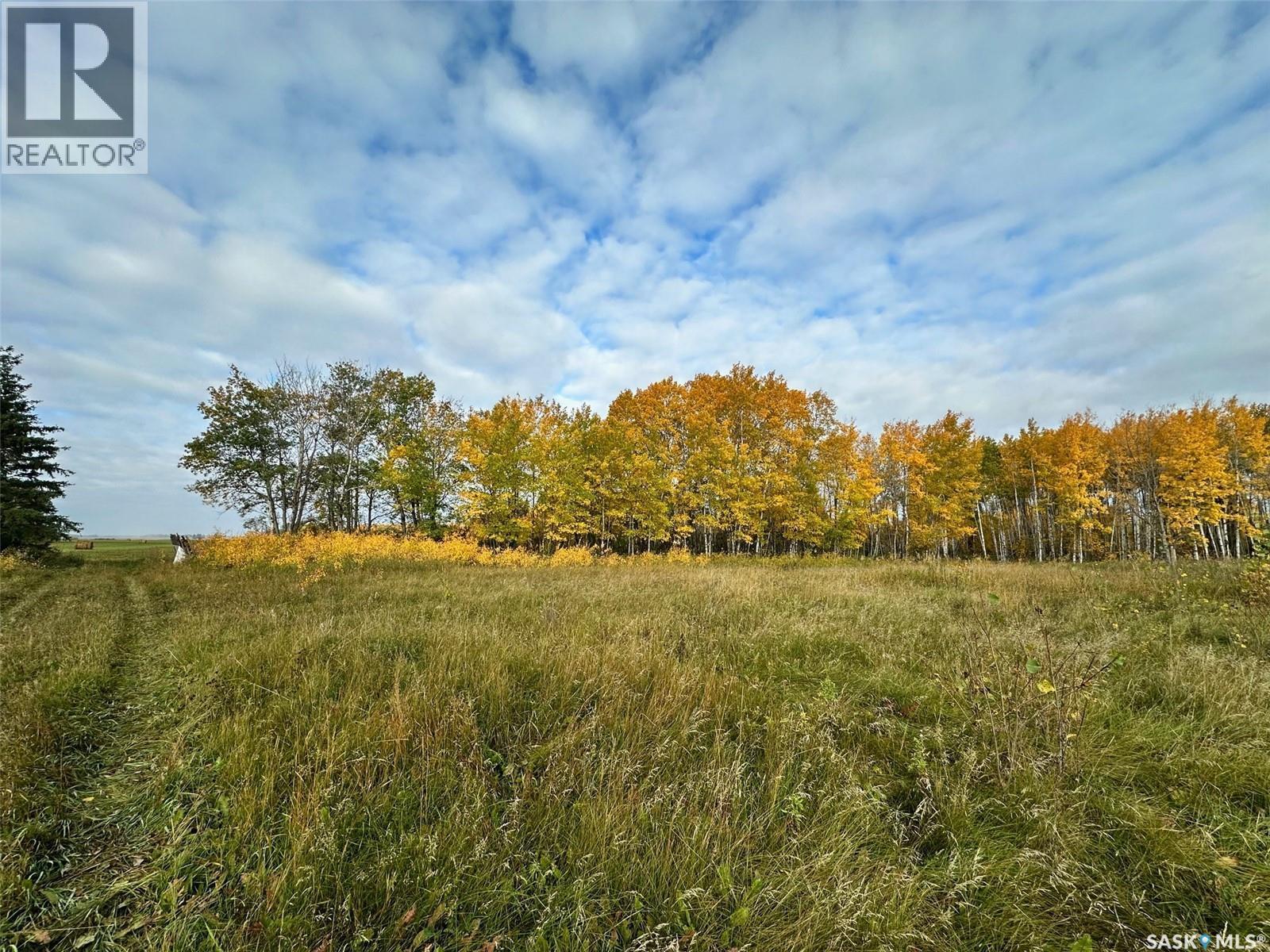 Neu Acreage, Hudson Bay, SK