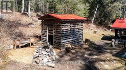 Woodshed -