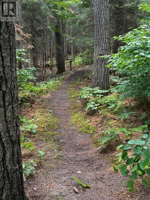 Trail - 9001 Highway 17 Highway E, Calvin, ON - Outdoor