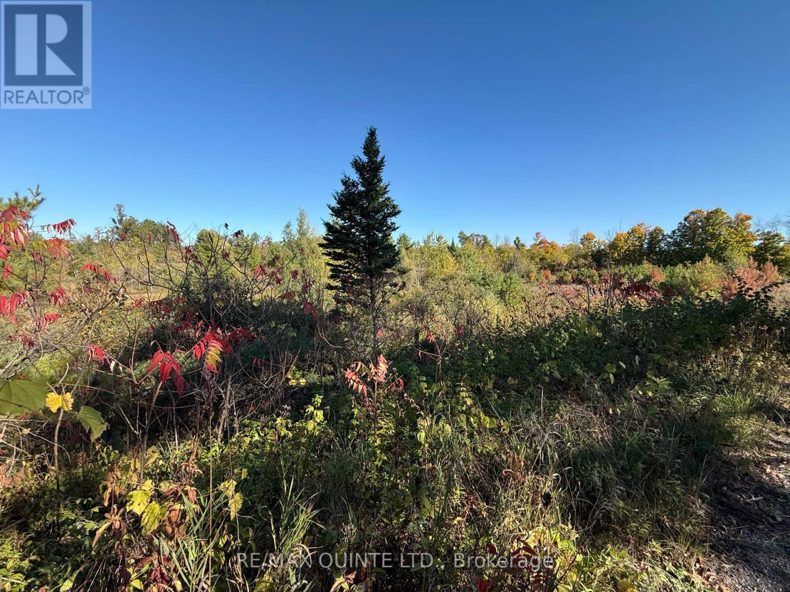 0 Price Road, Tweed (Elzevir (Twp)), ON