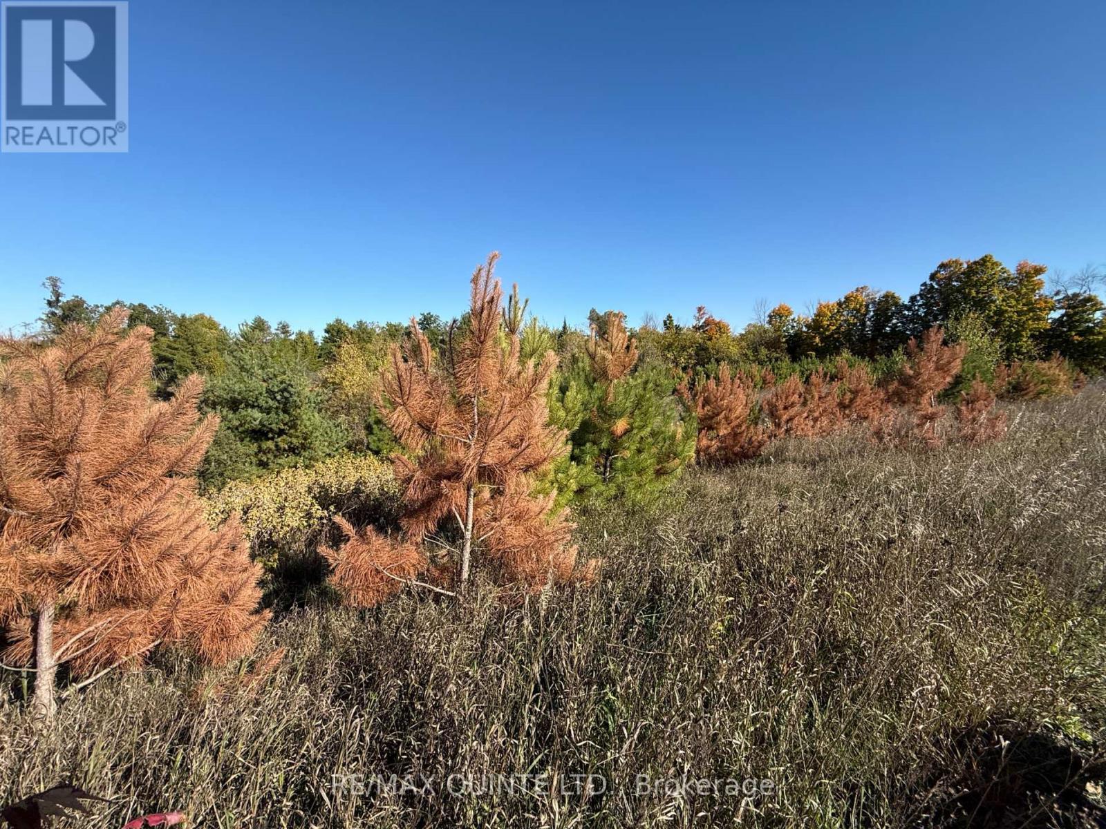 0 Price Road, Tweed (Elzevir (Twp)), ON