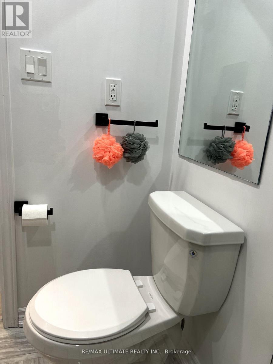 Lower - 36 Milson Crescent, Essa, ON - Indoor Photo Showing Bathroom