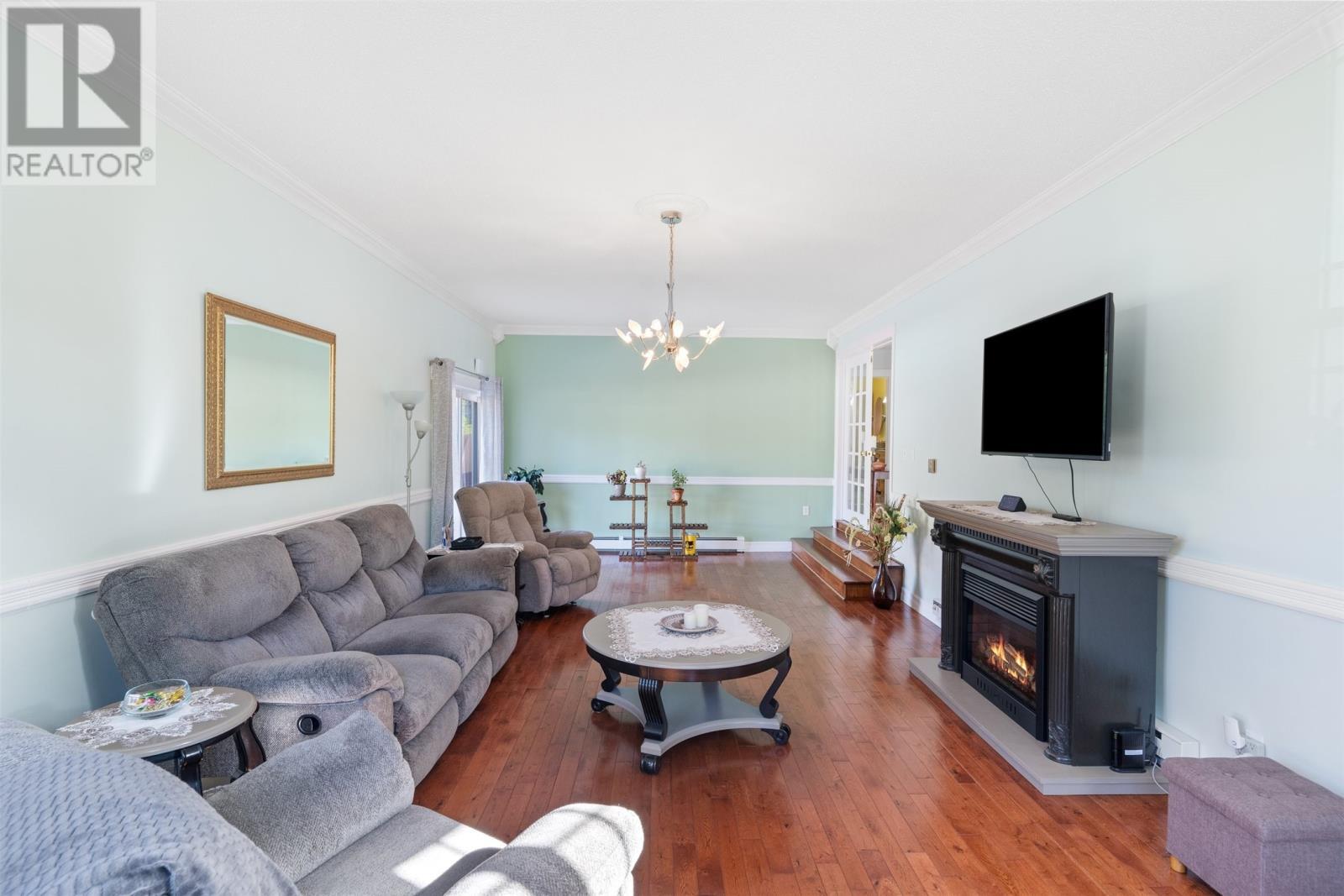 250 Main Street, Embree, NL - Indoor Photo Showing Living Room With Fireplace