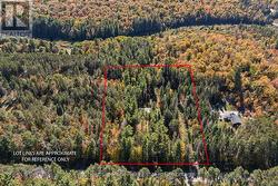 Approximate Lot lines. -