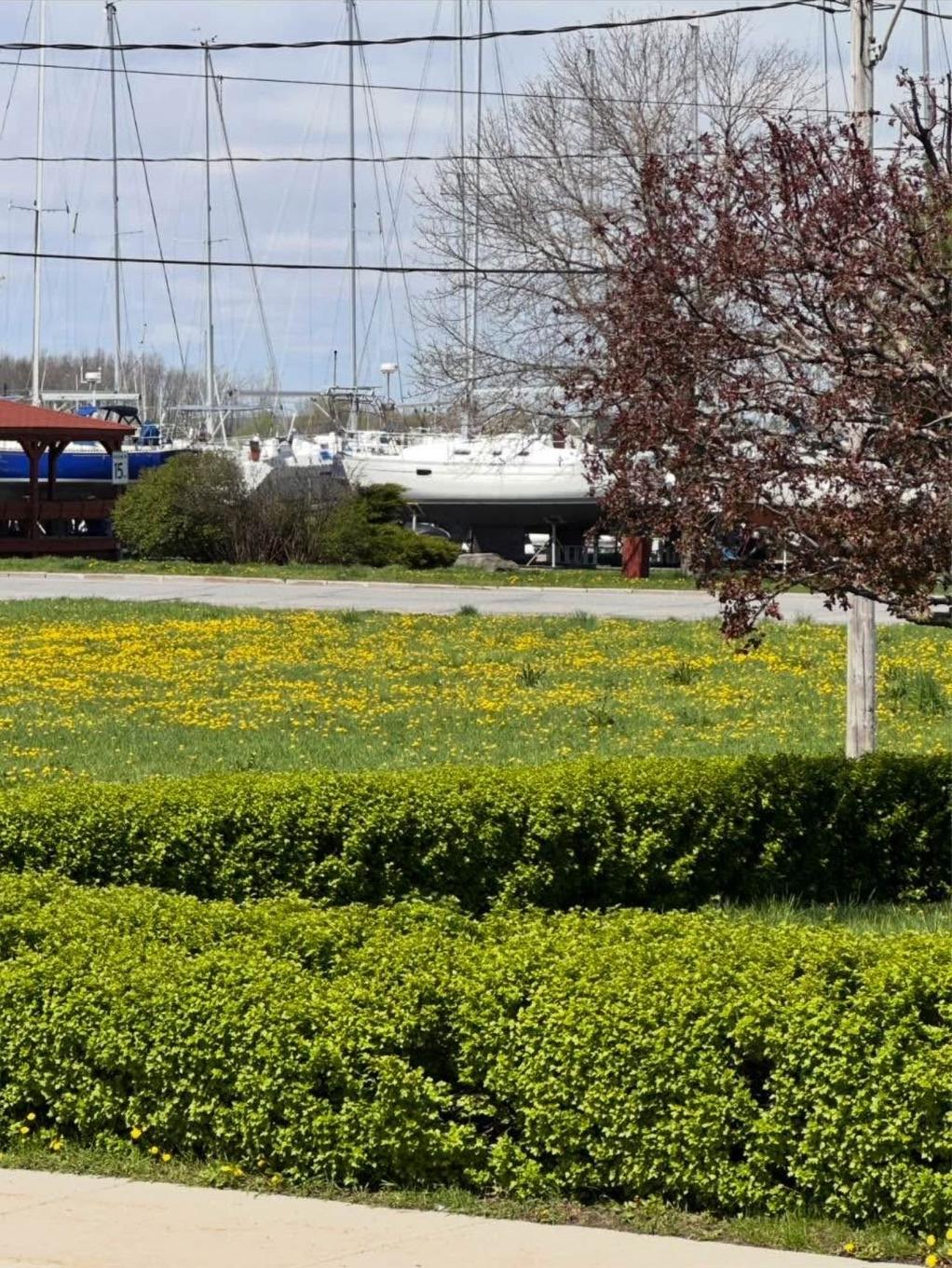 Bord de l'eau - 133 Rue Ellice, Salaberry-De-Valleyfield, QC - Outdoor