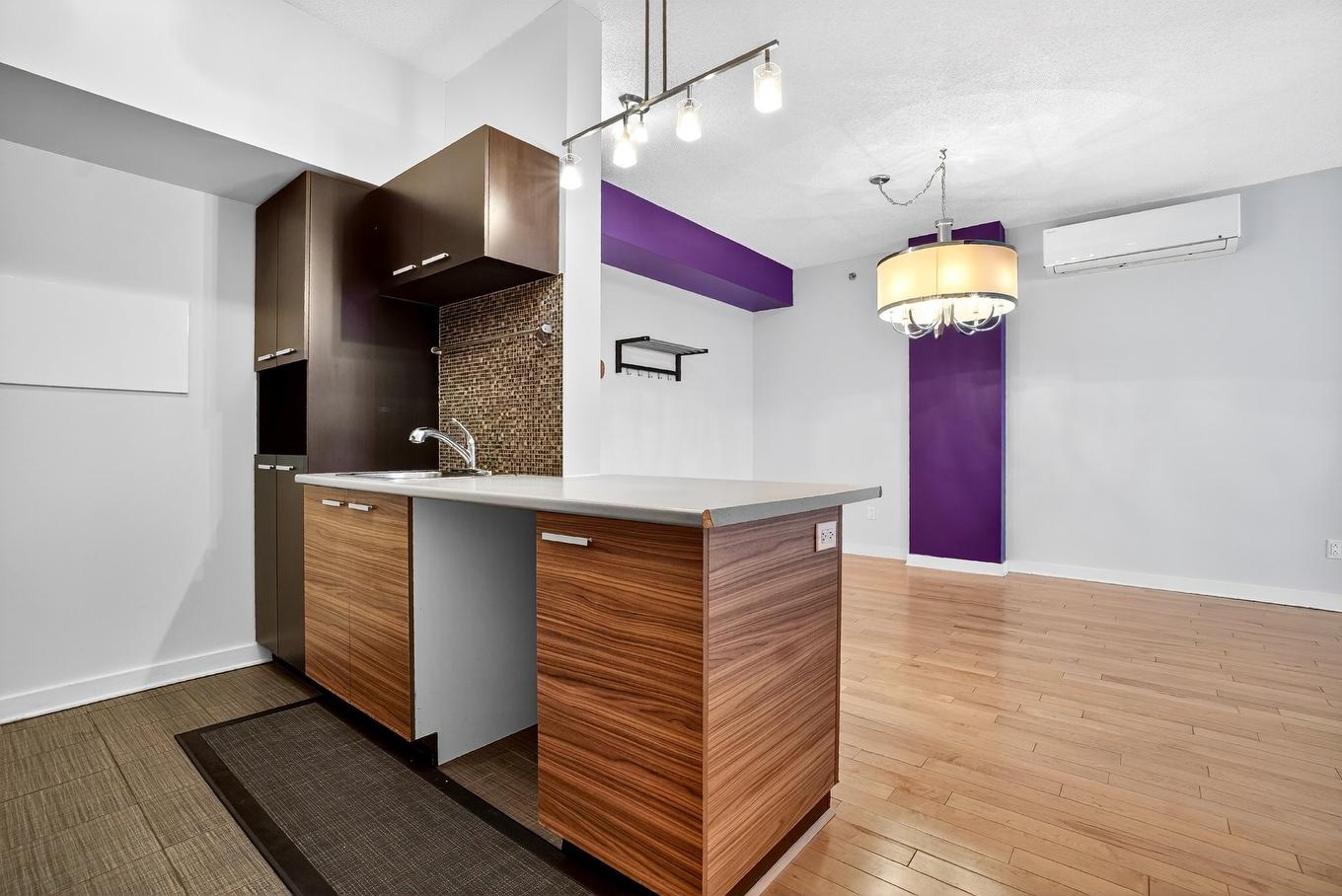 Kitchen - C-110-2281 Av. Desjardins, Montréal (Mercier/Hochelaga-Maisonneuve), QC - Indoor