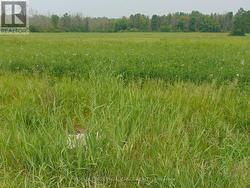 00 CHARLEVILLE ROAD N Augusta, ON K0E 1T0