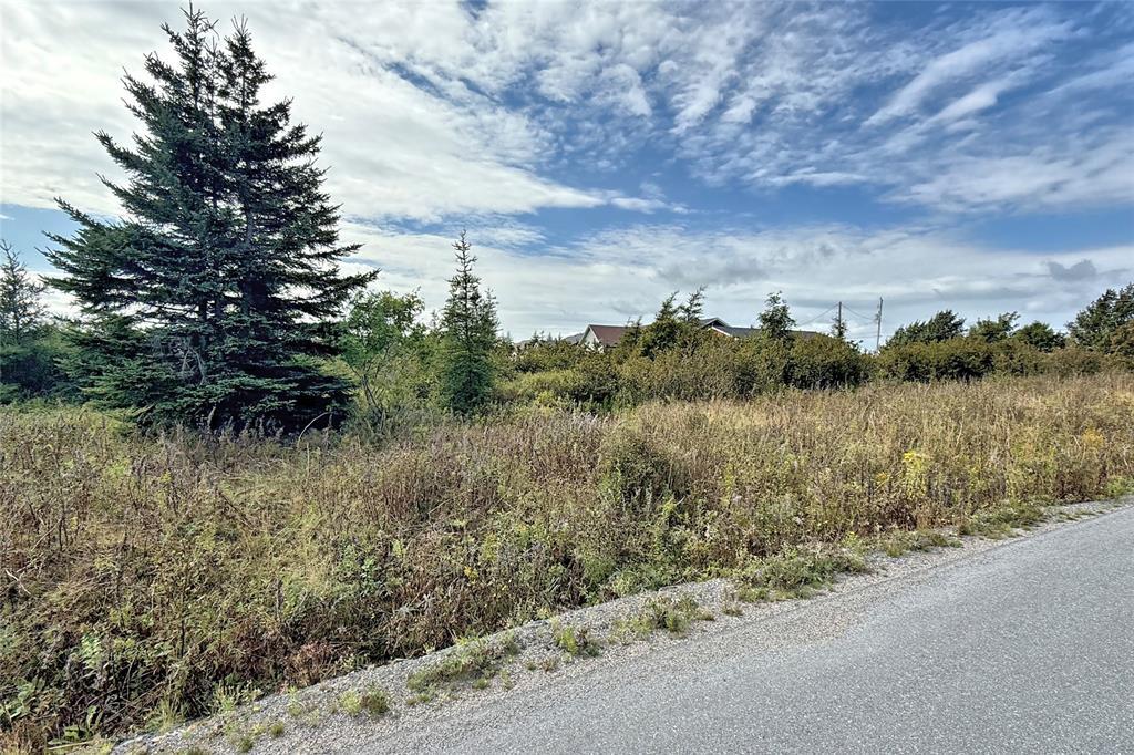 2 Whitney Street, Bay Roberts, NL