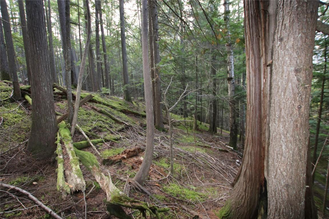 Lot 23 Highway 6, Burton, BC