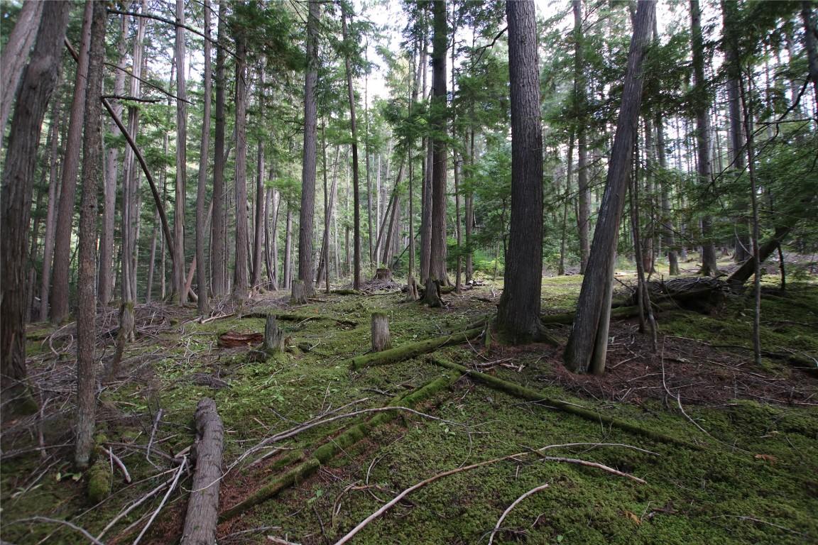 Lot 23 Highway 6, Burton, BC