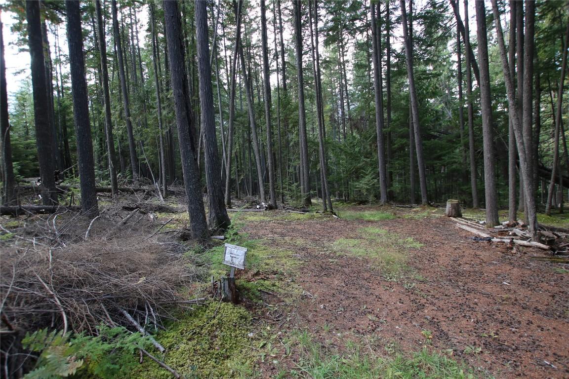 Lot 23 Highway 6, Burton, BC