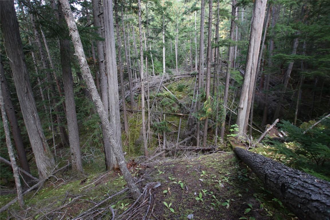 Lot 23 Highway 6, Burton, BC