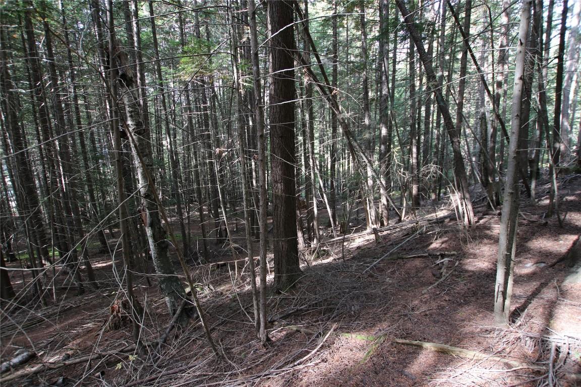 Lot 23 Highway 6, Burton, BC