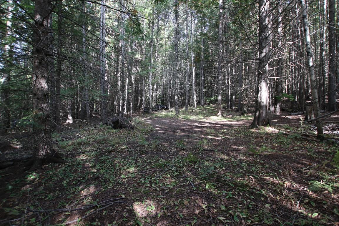 Lot 23 Highway 6, Burton, BC