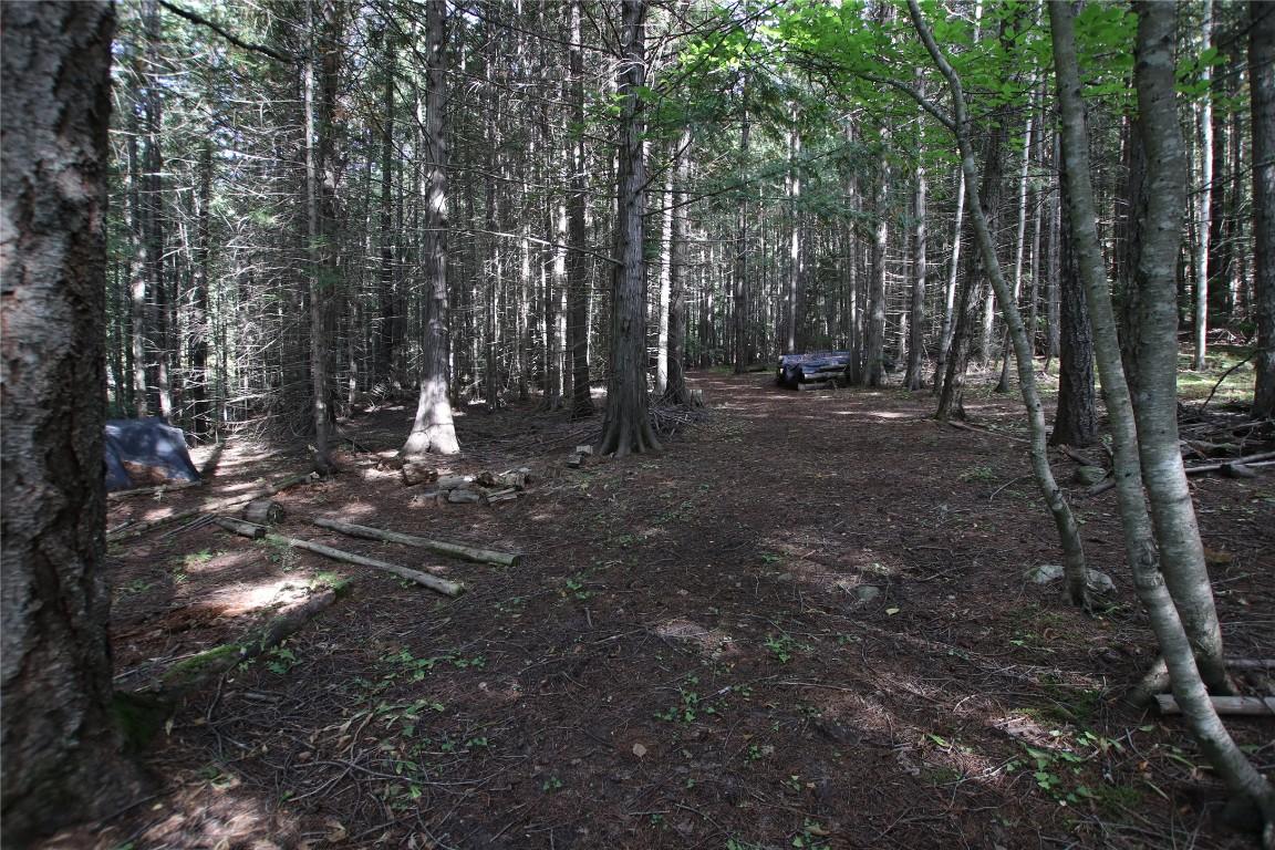 Lot 23 Highway 6, Burton, BC