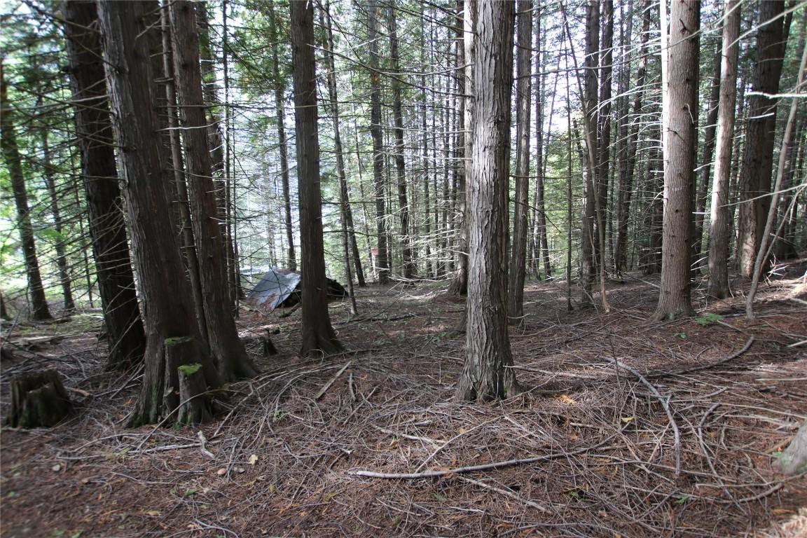 Lot 23 Highway 6, Burton, BC