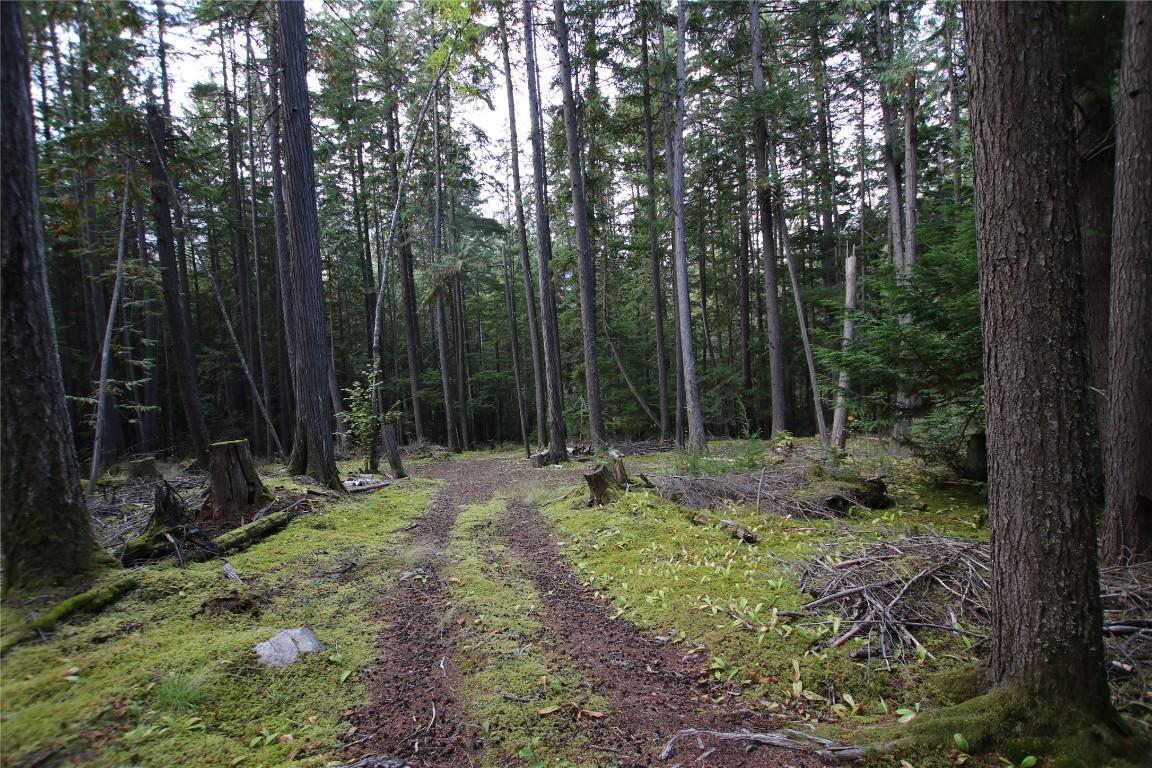 Lot 23 Highway 6, Burton, BC
