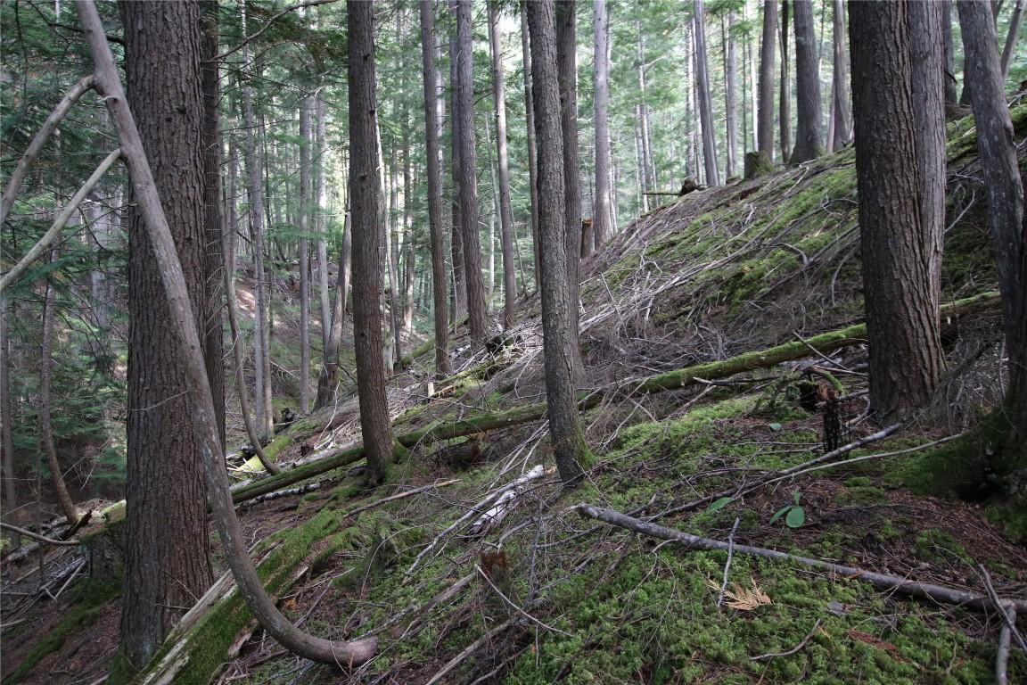 Lot 23 Highway 6, Burton, BC