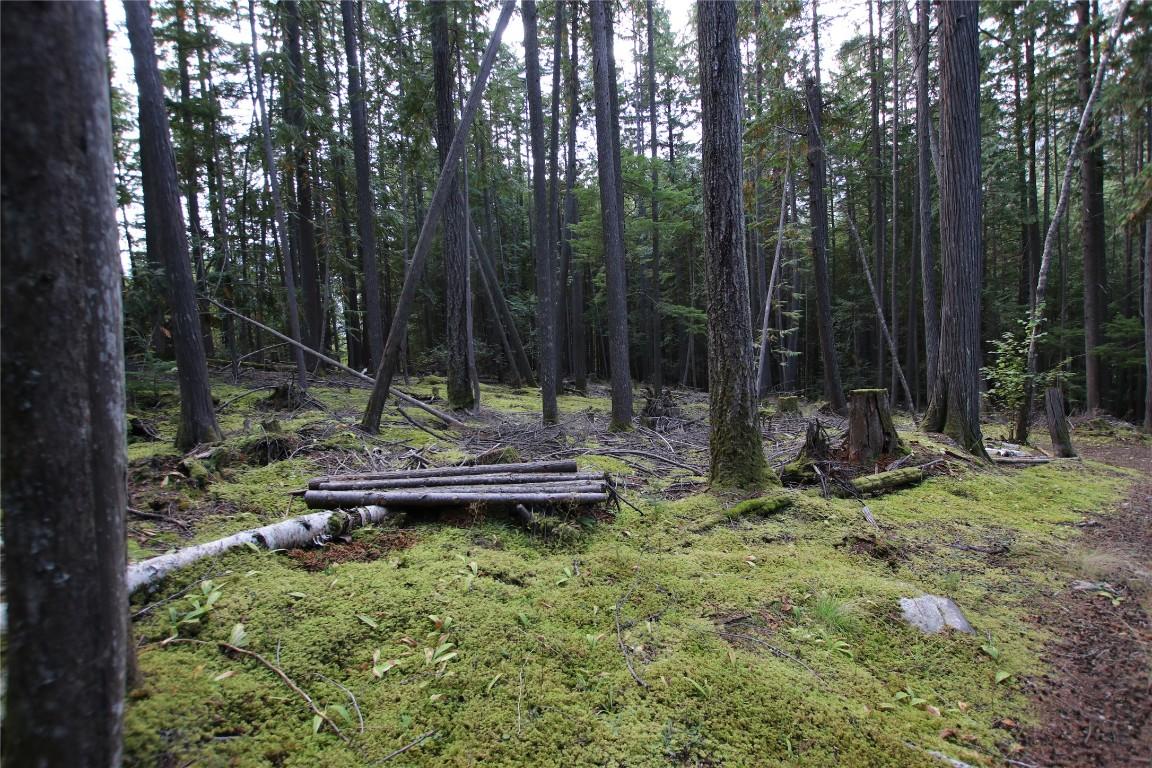 Lot 23 Highway 6, Burton, BC