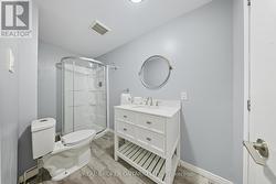 Lower Level Bathroom -