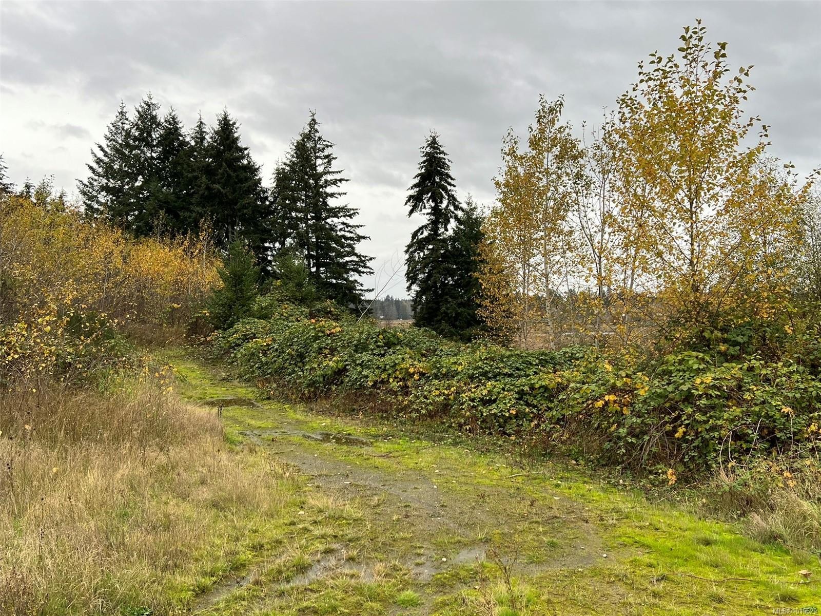 1825 Nairne Rd, Nanaimo, BC