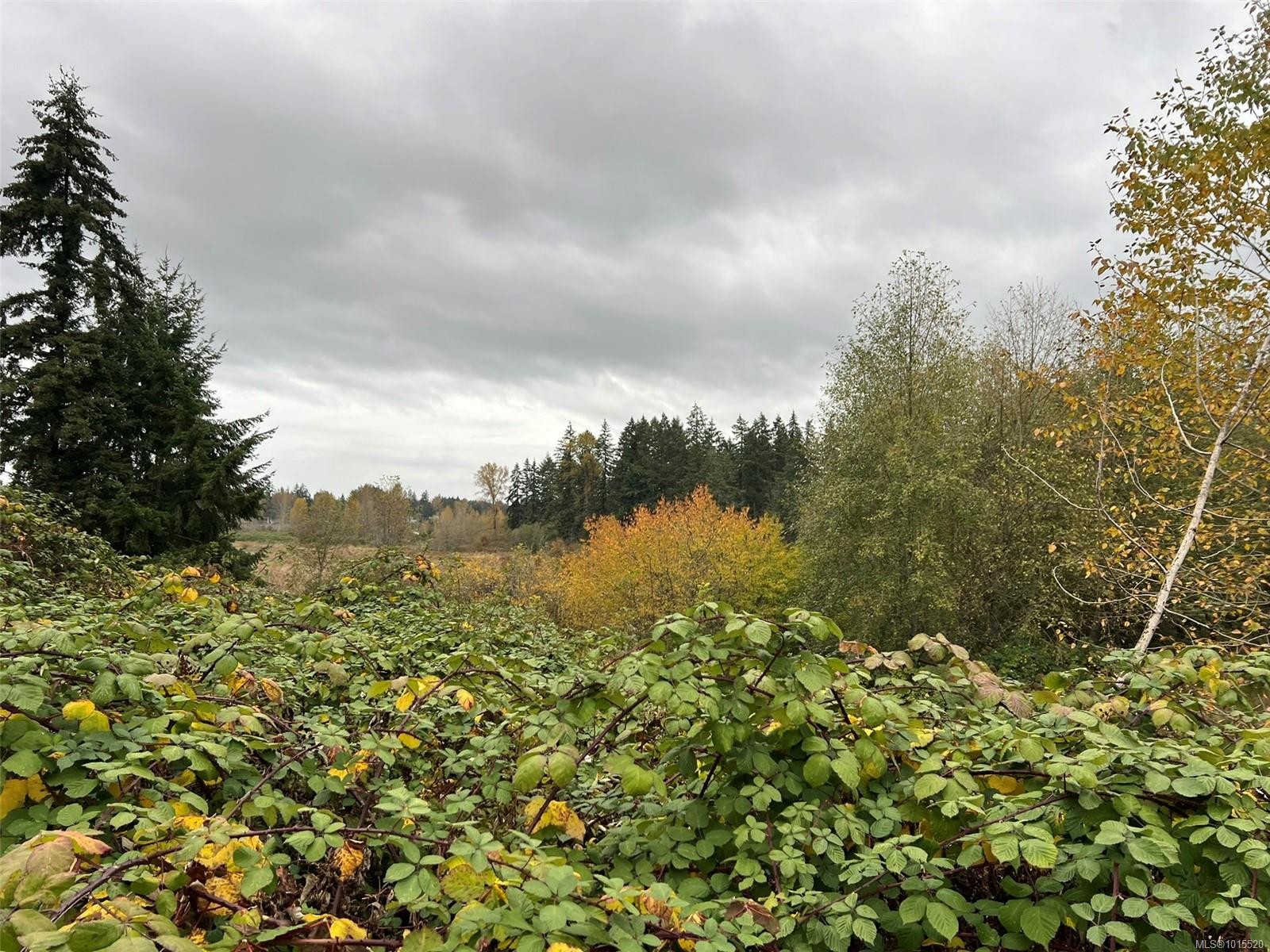 1825 Nairne Rd, Nanaimo, BC