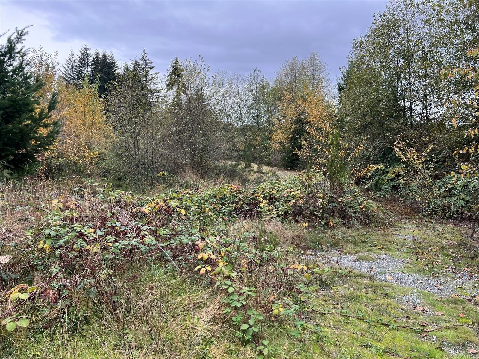 1825 Nairne Rd, Nanaimo, BC