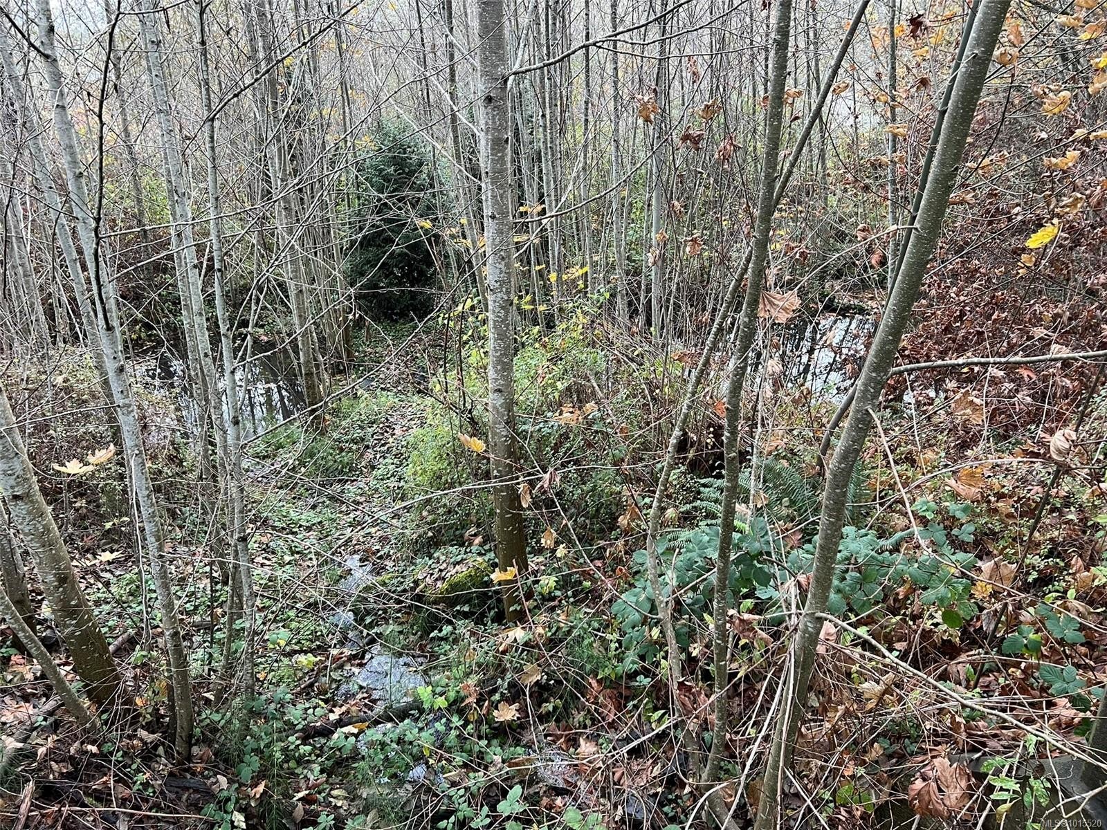 1825 Nairne Rd, Nanaimo, BC