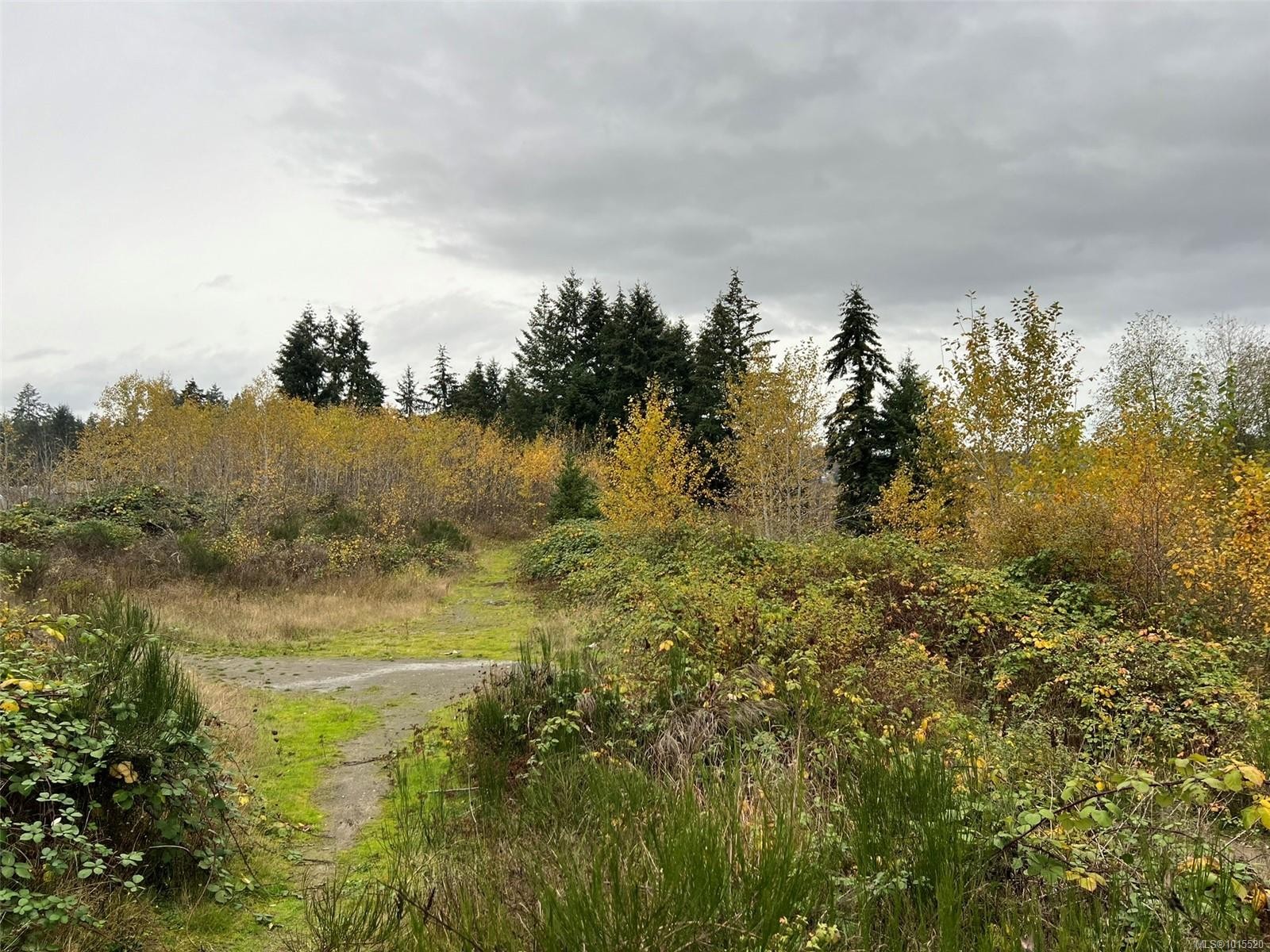 1825 Nairne Rd, Nanaimo, BC