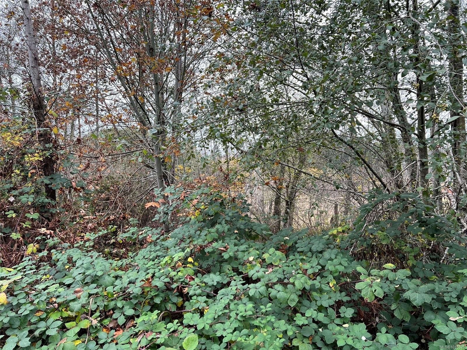 1825 Nairne Rd, Nanaimo, BC