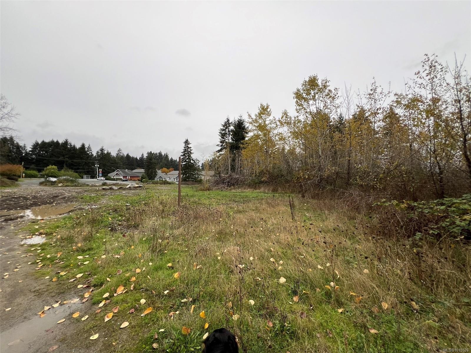 1825 Nairne Rd, Nanaimo, BC