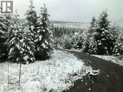 3631 PARK PLACE Lac La Hache, BC V0K 1T1