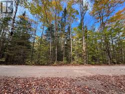 8 acres of property across the road included -