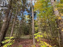 Perfect for nature lovers with trails -