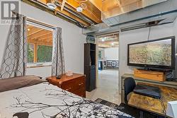 Lower level bedroom -