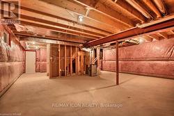 Basement with Cold Room -