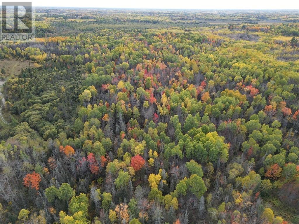 335 Pothier Road, St. Charles, ON