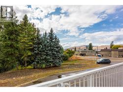 Forested back yard (overlooking guest parking) -
