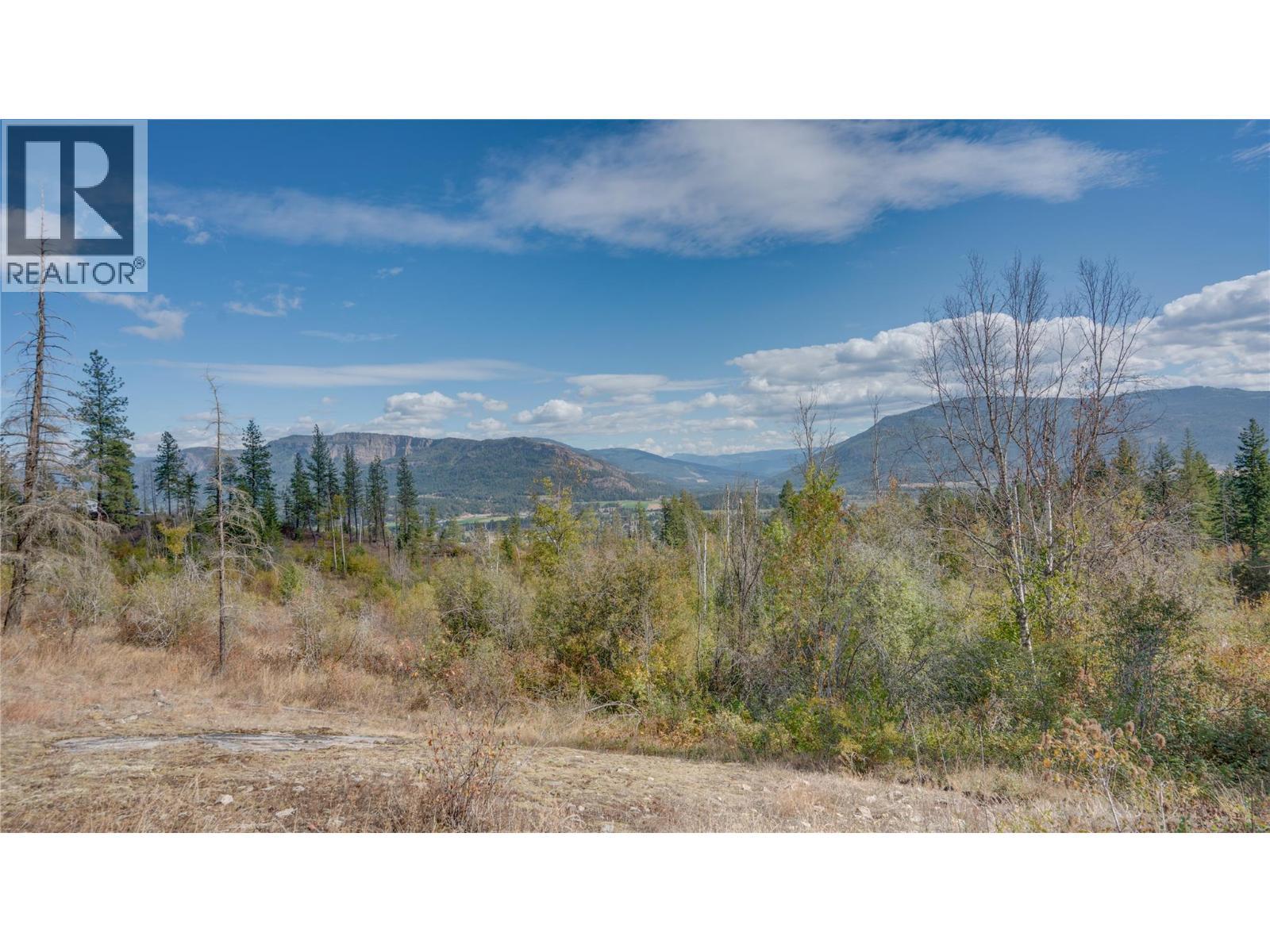 353 Gunter-Ellison Road, Enderby, BC - Outdoor With View