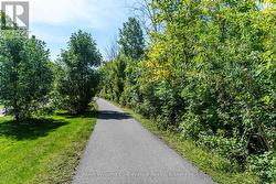 Tay Shore Trail -