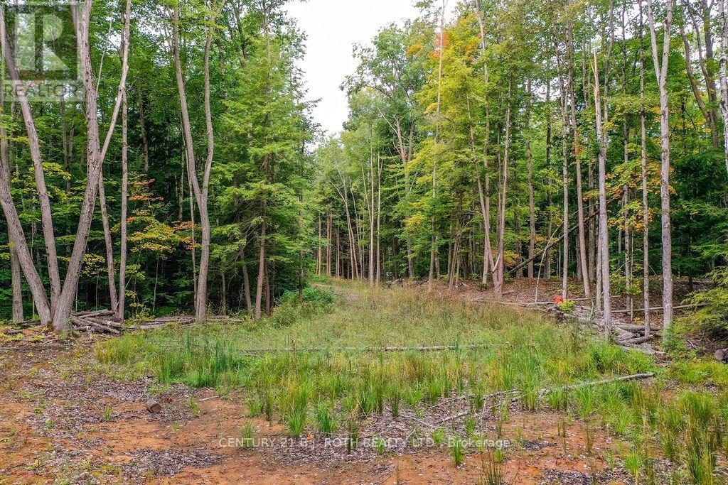 1019 Davis Drive, Gravenhurst, ON