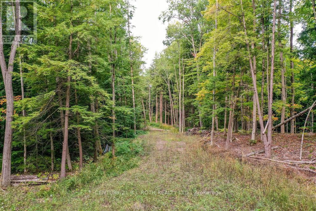 1019 Davis Drive, Gravenhurst, ON