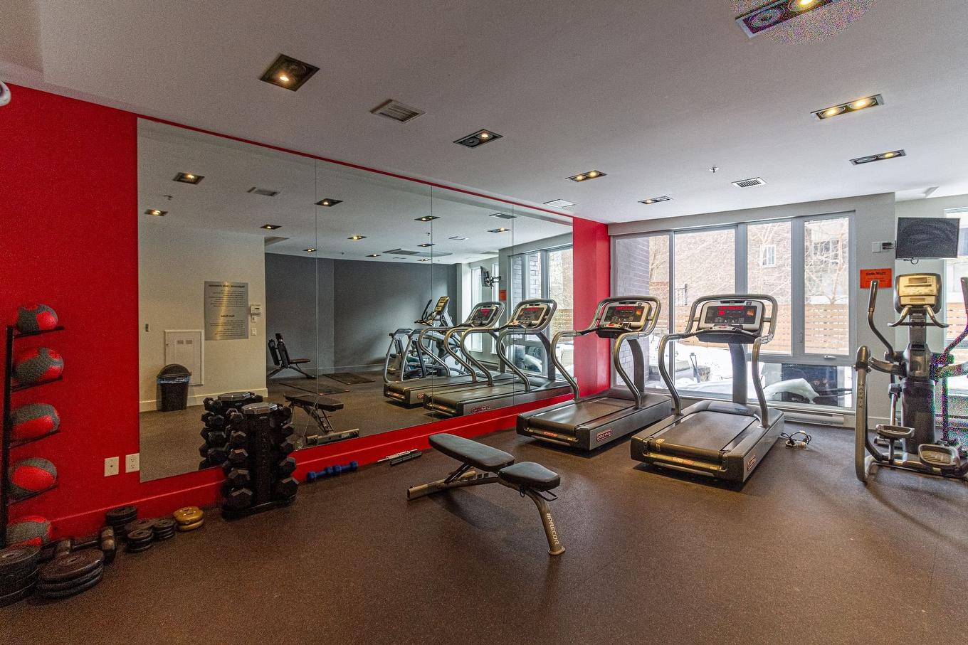 Salle d'exercice - 205-3300 Av. Troie, Montréal (Côte-Des-Neiges/Notre-Dame-De-Grâce), QC - Indoor Photo Showing Gym Room