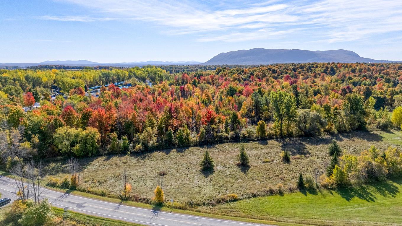 Vue d'ensemble - 331 Ch. De St-Dominique, Saint-Pie, QC