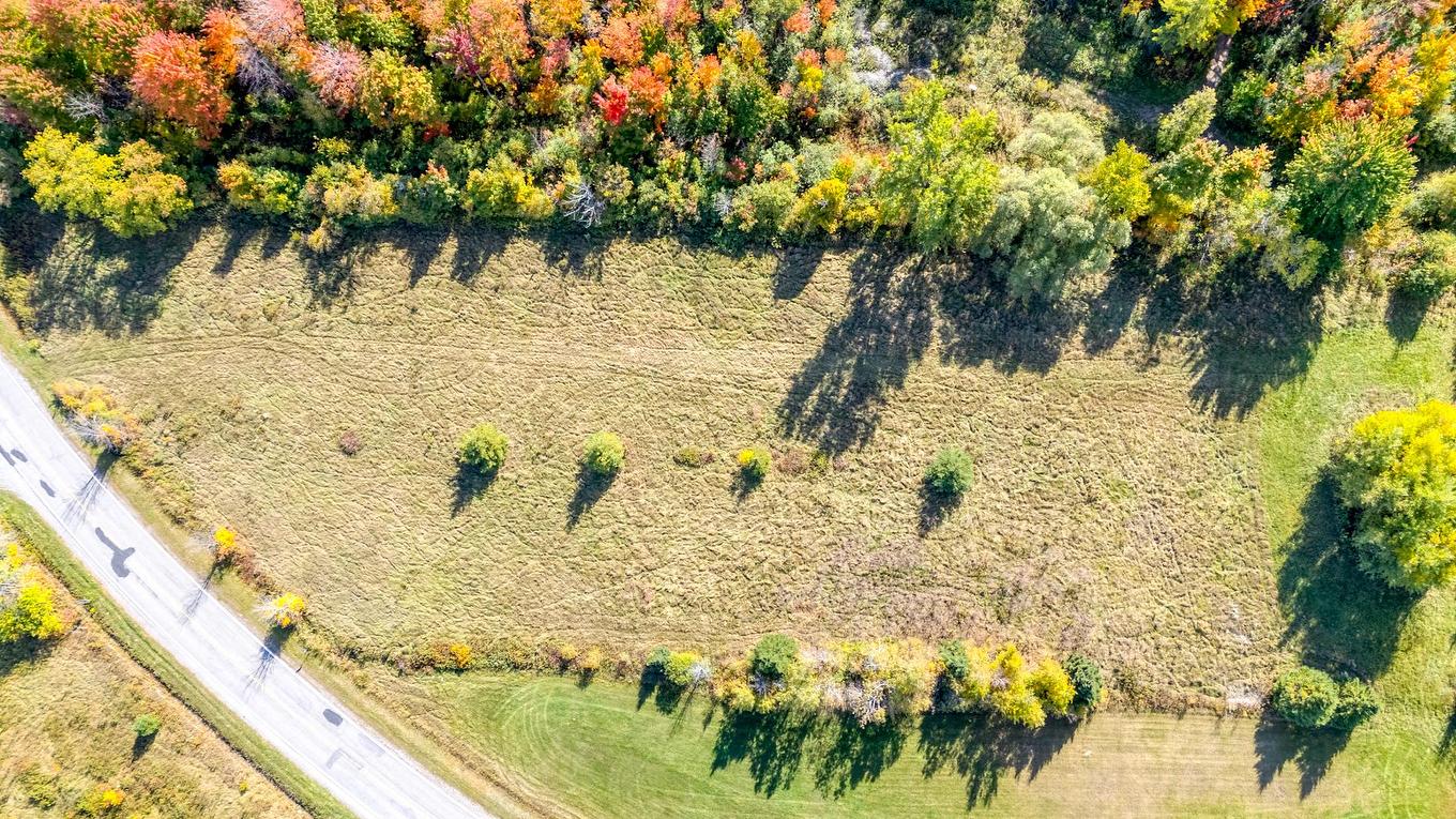 Terre/Terrain - 331 Ch. De St-Dominique, Saint-Pie, QC