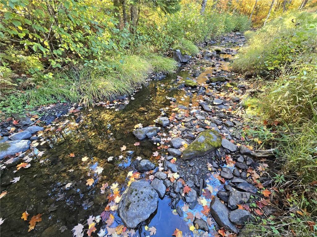 1416 Lugar St, Lugar, NB