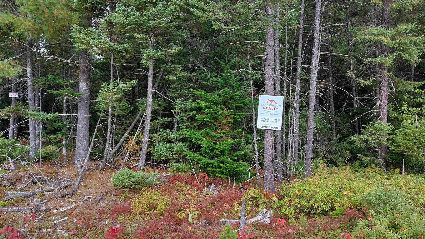 Lot 10 Tranquil Shore Rd, Marshes (West Bay), NS