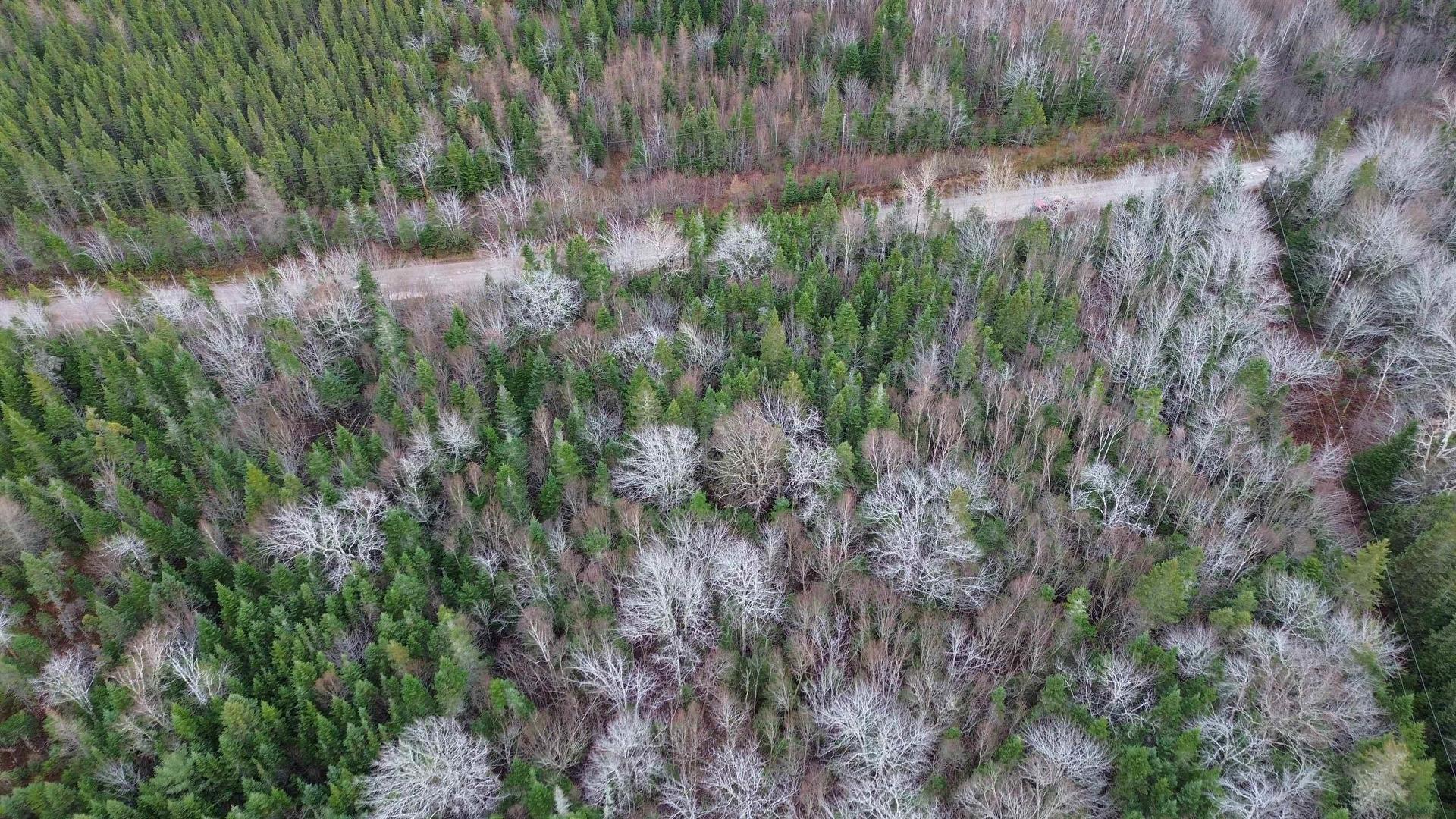 Acreage 105 Highway, Queensville, NS