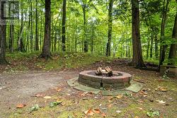 Firepit for evening of s'mores -