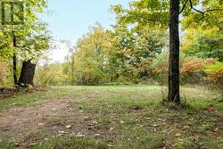 Open spaces & woodlands -